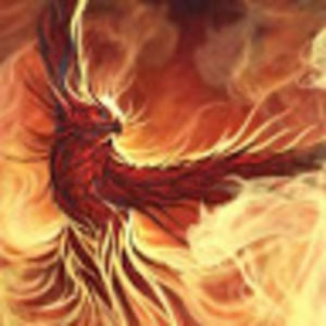 Meet your Posher, Kristina